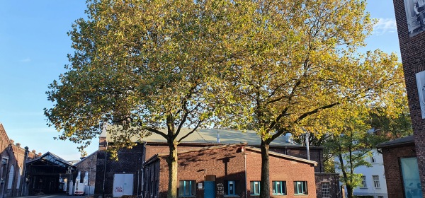 Auf dem Foto sieht man den Innenhof der ehemaligen Zinkfabrik Altenberg. In der Mitte steht ein rotes Backsteingebäude mit türkisen Fenstern und türkiser Tür. Davor stehen zwei Bäume mit grünen Blättern, der Himmel ist blau und es scheint die Sonne.